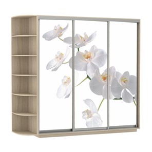 Шкаф 3-дверный Экспресс со стеллажом, 2100х600х2200, Орхидея белая/шимо светлый в Архангельске