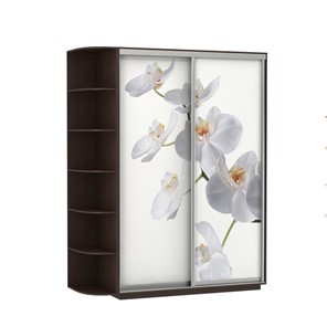 Шкаф 2-створчатый Е1 Экспресс 1900x600x2200, со стеллажом, Орхидея белая/венге в Архангельске