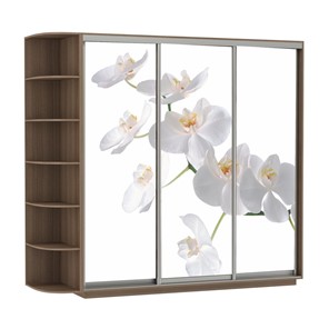 Шкаф 3-х створчатый Экспресс со стеллажом, 2100х600х2200, Орхидея белая/шимо темный в Архангельске