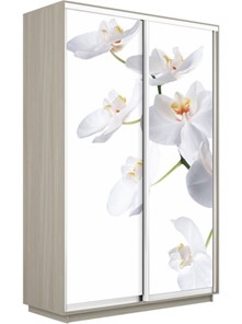 Шкаф 2-х дверный Экспресс 1200x600x2200, Орхидея белая/шимо светлый в Архангельске
