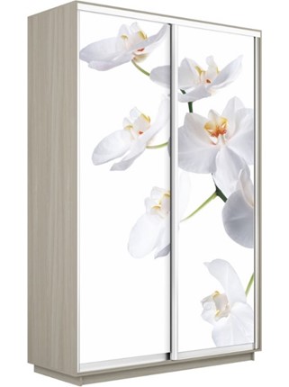 Шкаф 2-х дверный Экспресс 1200x600x2200, Орхидея белая/шимо светлый в Архангельске - изображение