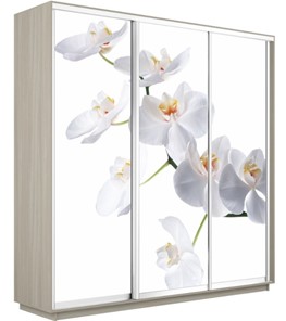 Шкаф 3-х дверный Экспресс 1800х600х2400, Орхидея белая/шимо светлый в Архангельске