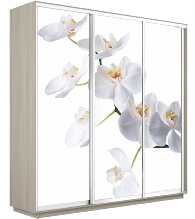 Шкаф 3-х дверный Экспресс 1800х600х2400, Орхидея белая/шимо светлый в Архангельске - изображение