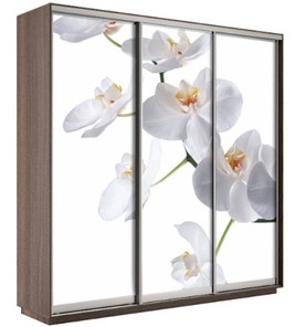 Шкаф 3-дверный Экспресс 2100х600х2200, Орхидея белая/шимо темный в Архангельске
