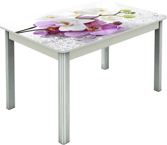 Кухонный стол раскладной Гамбург исп.2 ноги метал. крашеные №23, Фотопечать (Цветы №44) в Архангельске