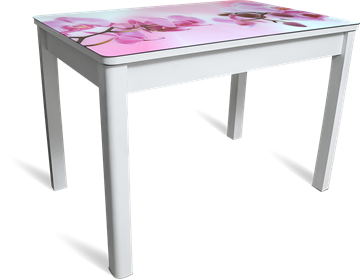 Кухонный раскладной стол Айсберг мини СТФ, белое лдсп/орхидея/40 прямые массив белые в Архангельске