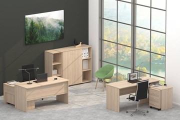 Офисный комплект мебели Twin в Архангельске - предосмотр 4