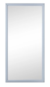 Зеркало навесное в спальню Ника (Серый) 119,5 см x 60 см в Архангельске
