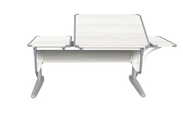 Детский стол-трансформер 4/75-40 (СУТ.42)  + Polka_b 4/550 Рамух белый/серый/серый в Архангельске