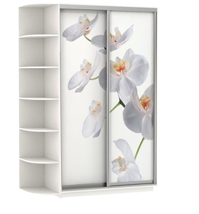 Шкаф 2-дверный Хит, 1500x600x2200, фотопечать, со стеллажом, белая орхидея, белый снег в Архангельске - изображение