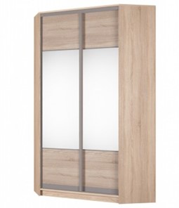 Угловой шкаф Аларти (YA-230х1250(602) (2) Вар. 4; двери D3+D3), с зеркалом в Архангельске - предосмотр