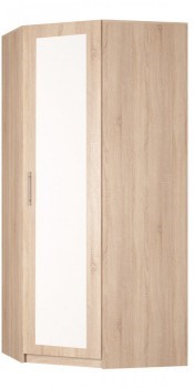 Шкаф распашной угловой Реал (YR-230х884 (9)-М Вар.1), с зеркалом в Архангельске - изображение