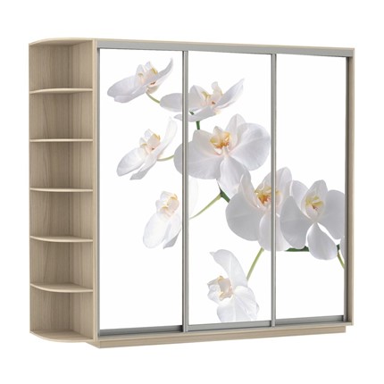 Шкаф 3-дверный Экспресс со стеллажом, 2100х600х2200, Орхидея белая/шимо светлый в Архангельске - изображение