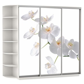 Шкаф 3-створчатый Экспресс со стеллажом, 2400х600х2200, Орхидея белая/белый снег в Архангельске