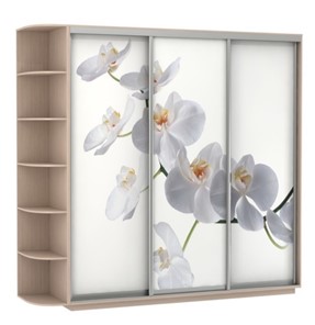 Шкаф Экспресс со стеллажом, 2700х600х2200, Орхидея белая/дуб молочный в Архангельске