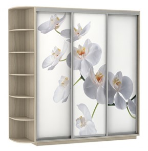 Шкаф 3-х дверный Экспресс со стеллажом, 2700х600х2200, Орхидея белая/шимо светлый в Архангельске