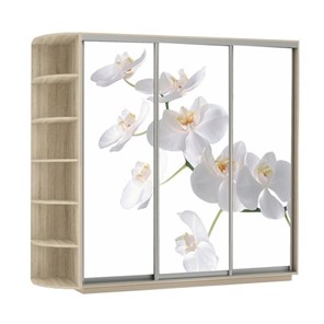 Шкаф 3-х дверный Экспресс со стеллажом, 2700х600х2200, Орхидея белая/дуб сонома в Архангельске