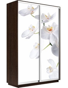 Шкаф 2-дверный Экспресс 1200x450x2200, Орхидея белая/венге в Архангельске - предосмотр
