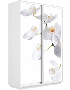 Шкаф 2-дверный Экспресс 1200x600x2200, Орхидея белая/белый снег в Архангельске