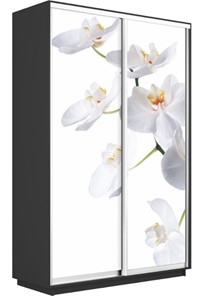 Шкаф 2-дверный Экспресс 1200x600x2200, Орхидея белая/серый диамант в Архангельске