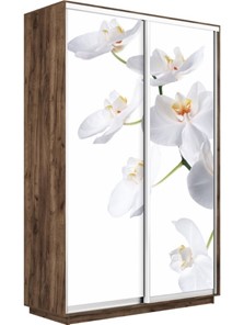 Шкаф 2-х дверный Экспресс 1400x450x2400, Орхидея белая/дуб табачный в Архангельске