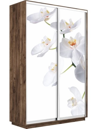 Шкаф 2-х дверный Экспресс 1400x450x2400, Орхидея белая/дуб табачный в Архангельске - изображение