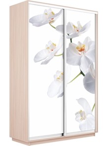 Шкаф 2-дверный Экспресс 1400x600x2200, Орхидея белая/дуб молочный в Архангельске - предосмотр