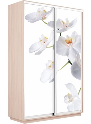 Шкаф 2-дверный Экспресс 1400x600x2200, Орхидея белая/дуб молочный в Архангельске - изображение