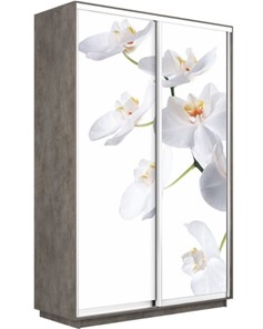 Шкаф 2-дверный Экспресс 1400x600x2400, Орхидея белая/бетон в Архангельске - предосмотр