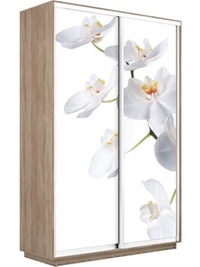 Шкаф двухдверный Экспресс 1600x450x2400, Орхидея белая/дуб сонома в Архангельске - предосмотр