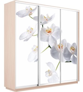 Шкаф 3-створчатый Экспресс 1800х600х2200, Орхидея белая/дуб молочный в Архангельске