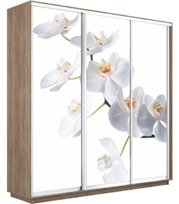 Шкаф 3-створчатый Экспресс 2100х450х2200, Орхидея белая/дуб сонома в Архангельске