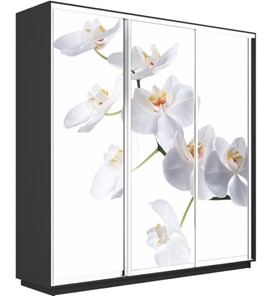 Шкаф 3-дверный Экспресс 2100х450х2200, Орхидея белая/серый диамант в Архангельске - предосмотр