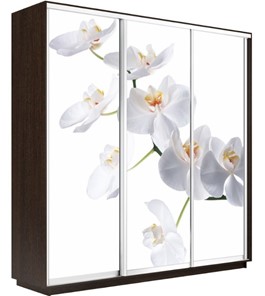 Шкаф 3-х створчатый Экспресс 2100х450х2200, Орхидея белая/венге в Архангельске
