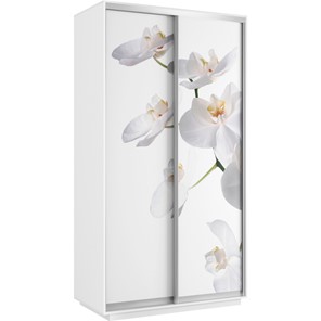 Шкаф Хит 1200x600x2200, белая орхидея, белый снег в Архангельске