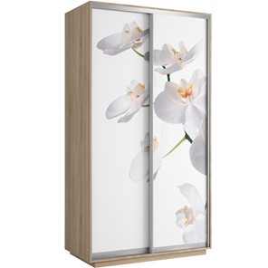 Шкаф 2-створчатый Хит 1200x600x2200, белая орхидея, дуб сонома в Архангельске