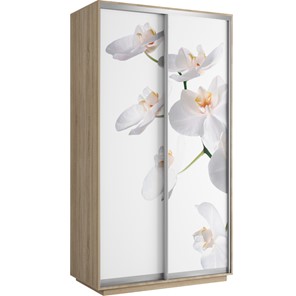 Шкаф 2-х дверный Хит 1200x600x2200, белая орхидея, ясень шимо светлый в Архангельске - предосмотр