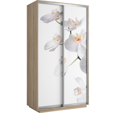 Шкаф 2-х дверный Хит 1200x600x2200, белая орхидея, ясень шимо светлый в Архангельске - изображение
