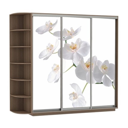 Шкаф Экспресс со стеллажом, 2400х600х2200, Орхидея белая/шимо темный в Архангельске - изображение