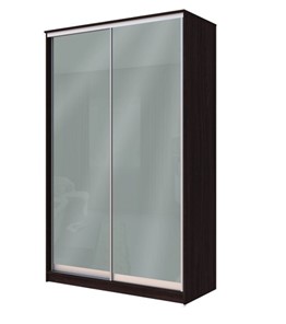 Шкаф двухдверный Хит-22-12-22 с цветным стеклом, средне-серый 074, Венге в Архангельске