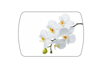 Кухонный стол раскладной Танго, белый/орхидея в Архангельске - предосмотр 3