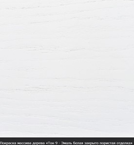 Раздвижной стол Фабрицио-1 исп. Эллипс, Тон 4 Покраска + патина (в местах фрезеровки) в Архангельске - предосмотр 16