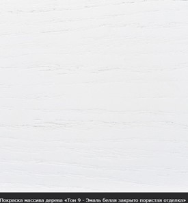 Кухонный раздвижной стол Фабрицио-1 Круг 1000, (D100, Тон 10 - Слоновая кость) Морилка/Эмаль в Архангельске - предосмотр 19