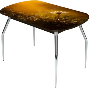 Кухонный раскладной стол Ривьера исп.1 ноги метал. крашеные №24 Фотопечать (Цветы №43) в Архангельске