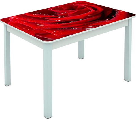 Обеденный стол Мюнхен исп. 2 ноги метал. крашеные №23 Фотопечать (Цветы №39) в Архангельске - изображение