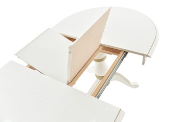 Раздвижной стол Фабрицио-2 исп. Овал 1600, Тон 12 Покраска + патина с прорисовкой (на столешнице) в Архангельске - предосмотр 3