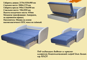 Раскладное кресло Коралл 1 в Архангельске - предосмотр 1
