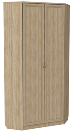 Шкаф распашной 401 угловой со штангой, цвет Дуб Сонома в Архангельске - изображение