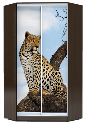 Шкаф 2300х1103, ХИТ У-23-4-77-04, Леопард, венге аруба в Архангельске - изображение
