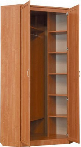 Шкаф распашной 401 угловой со штангой, цвет Дуб Сонома в Архангельске - изображение 1